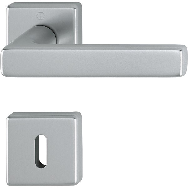 SWEDOOR TRYCKE DALLAS MED NYCKELSKYLT STAINLESS, QUICK-FIT